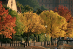 Bristol Hotwells in autumn, Bristol_ 0129