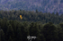 _DSC0793