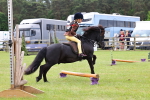 SBM_08676