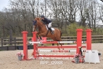 BPP_0988