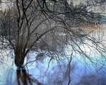 Grimstad Frost