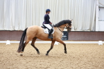 SBM_000446