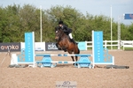 BRC Area 12 Showjumping, Saturday 2nd - Click to View portfolio