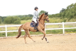 SBM_005793