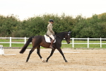 SBM_000204
