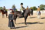 SBM_02253