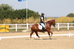 SBM_004311