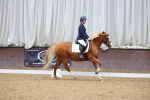 SBM_001264