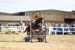 SBM_003404