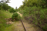 Overgrowth