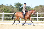 Class 10: Riding Horse portfolio