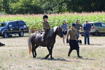WJ6_7959