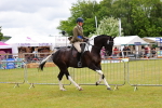 SBM_02618