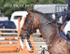 BPP_3549