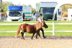 SBM_07942