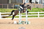 Cls 2 Pony British Novice and 80cm Open portfolio