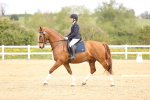 SBM_007437