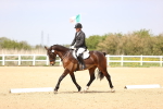 SBM_007536