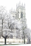 York Against Cancer Christmas Cards Portfolio 2023 portfolio