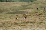 Hartside-97