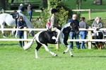 SBM_51965