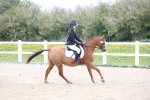 SBM_006587
