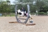 BPP_0078