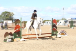 SBM_13371