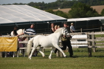 SBM_10339