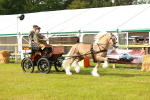 SBM_00277