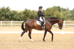 SBM_006447