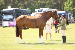 SBM_15190