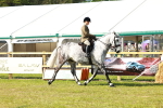 SBM_11742