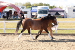 SBM_14093