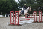Arena 16 Pony Club Arena Eventing Qualifiers (Colraine) portfolio