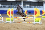 SBM_001313