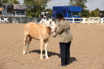 SBM_03389
