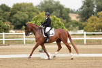 SBM_003572
