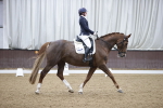 SBM_006521
