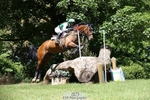 312-J'ADORE_SALSA-Michael_Owen-XC portfolio