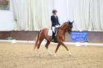 SBM_002713