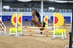 SBM_001039