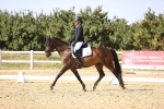 SBM_006728