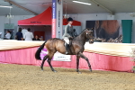 SBM_14894