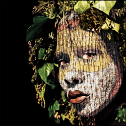 Picture Gallery portfolio