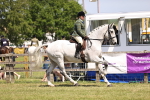 SBM_16099