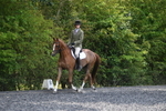 WJ5_9960