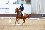 SBM_001994