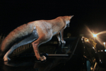 Using a car windshield to gain height and look down a Bristol street.