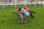 270724-Race 4-Greydreambeliever-4717